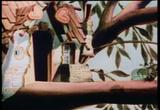 Woody Woodpecker in Pantry Panic (Free Cartoon Videos) - Thumb 5